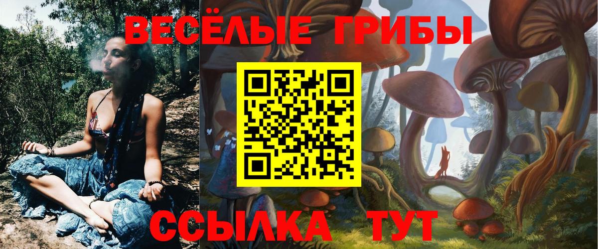 Сарапул  Галлюциногенные грибы Cubensis  Вход с VPN 