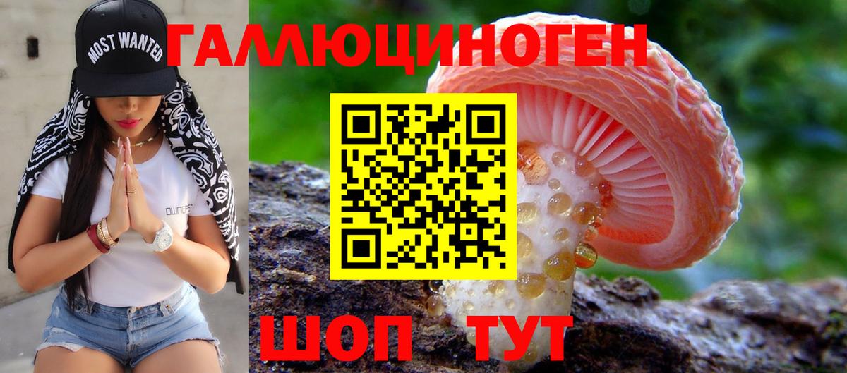 Галлюциногенные грибы Psilocybine cubensis Сарапул
